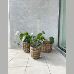 Outlet Nimara Lilli runde fletkurve - 3 stk/sæt